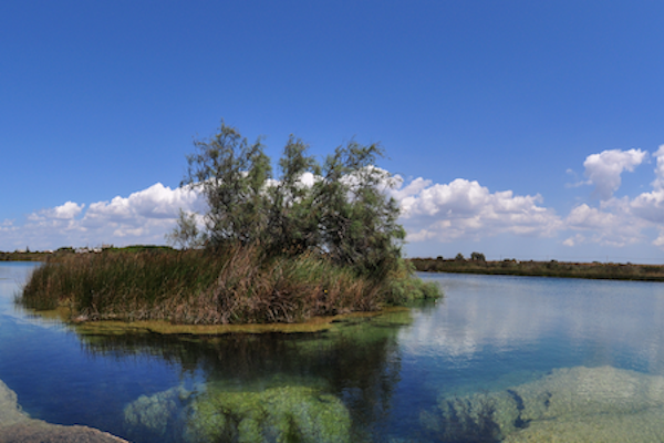 Porto Cesareo